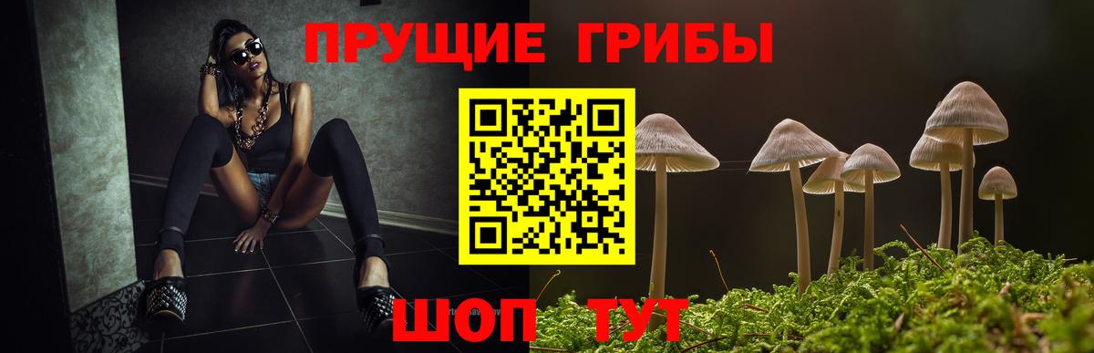Тобольск  Псилоцибиновые грибы ЛСД  Галлюциногенные грибы Psilocybe  купить наркотики цена  Вход с VPN 